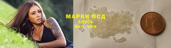 мяу мяу мука Горно-Алтайск
